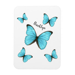 Morpho butterflies cartoon illustration  magnet