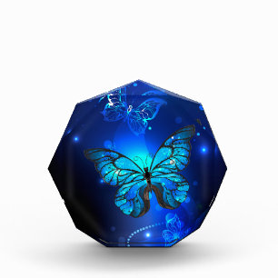 Morpho Butterfly in the Dark Background Fotoblock