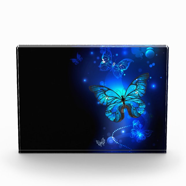 Morpho Butterfly in the Dark Background Fotoblock (Vorderseite)