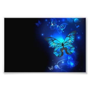Morpho Butterfly in the Dark Background Fotodruck