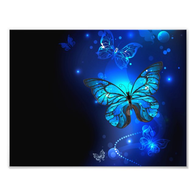 Morpho Butterfly in the Dark Background Fotodruck (Vorne)