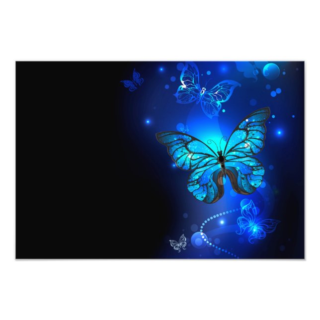 Morpho Butterfly in the Dark Background Fotodruck (Vorne)