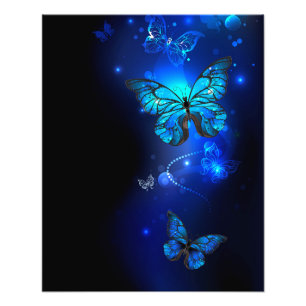 Morpho Butterfly in the Dark Background Fotodruck