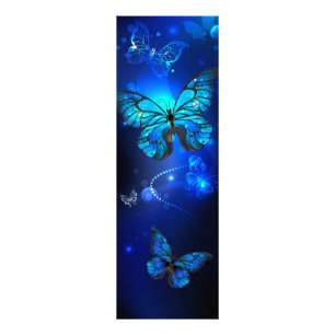 Morpho Butterfly in the Dark Background Fotodruck