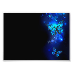 Morpho Butterfly in the Dark Background Fotodruck