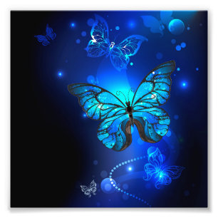 Morpho Butterfly in the Dark Background Fotodruck