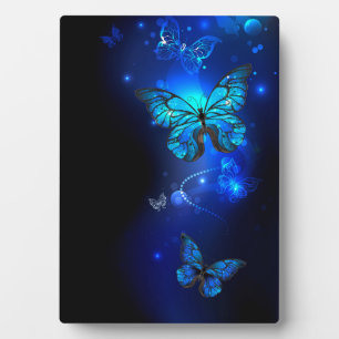 Morpho Butterfly in the Dark Background Fotoplatte