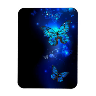 Morpho Butterfly in the Dark Background Magnet
