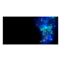 Morpho Butterfly in the Dark Background