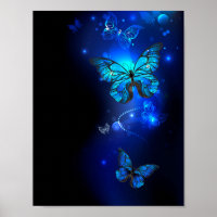 Morpho Butterfly in the Dark Background