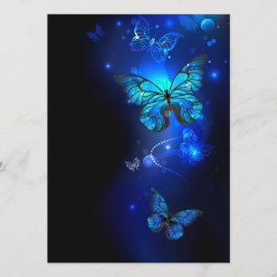 Morpho Butterfly in the Dark Background Programm