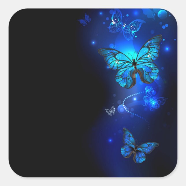 Morpho Butterfly in the Dark Background Quadratischer Aufkleber (Vorderseite)