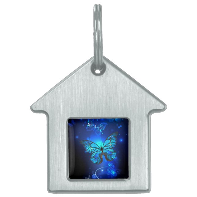 Morpho Butterfly in the Dark Background Tiermarke (Vorderseite)