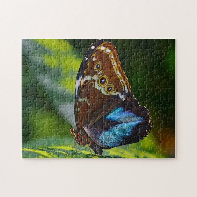 Morpho Peleides Butterfly. Puzzle (Horizontal)