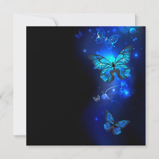 Morpho-Schmetterling im dunklen Hintergrund (Vorderseite)