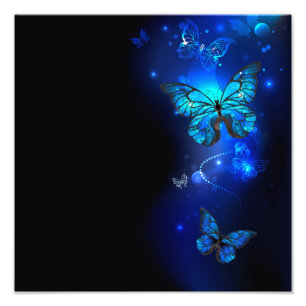 Morpho-Schmetterling im dunklen Hintergrund Fotodruck