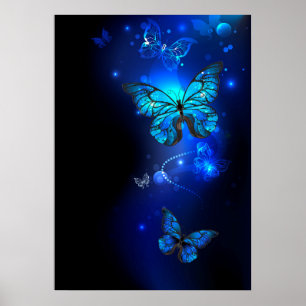 Morpho-Schmetterling im dunklen Hintergrund Poster