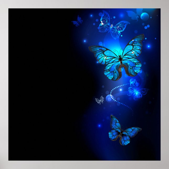 Morpho-Schmetterling im dunklen Hintergrund Poster (Vorne)