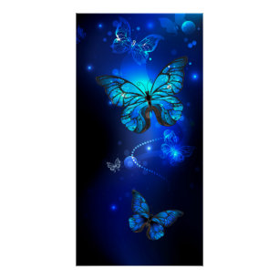 Morpho-Schmetterling im dunklen Hintergrund Poster