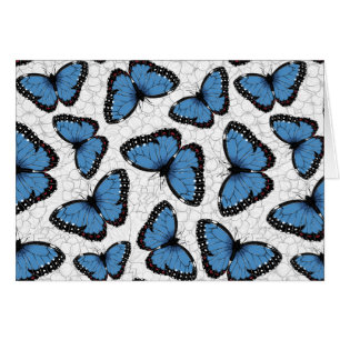 Morpho-Schmetterlinge