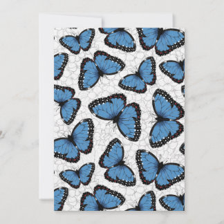 Morpho-Schmetterlinge