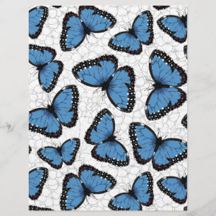 Morpho-Schmetterlinge