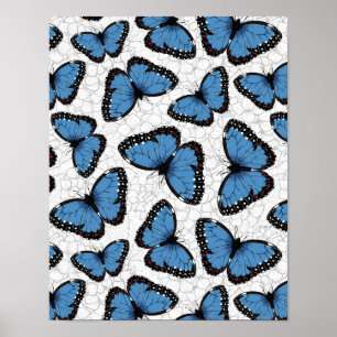 Morpho-Schmetterlinge Poster