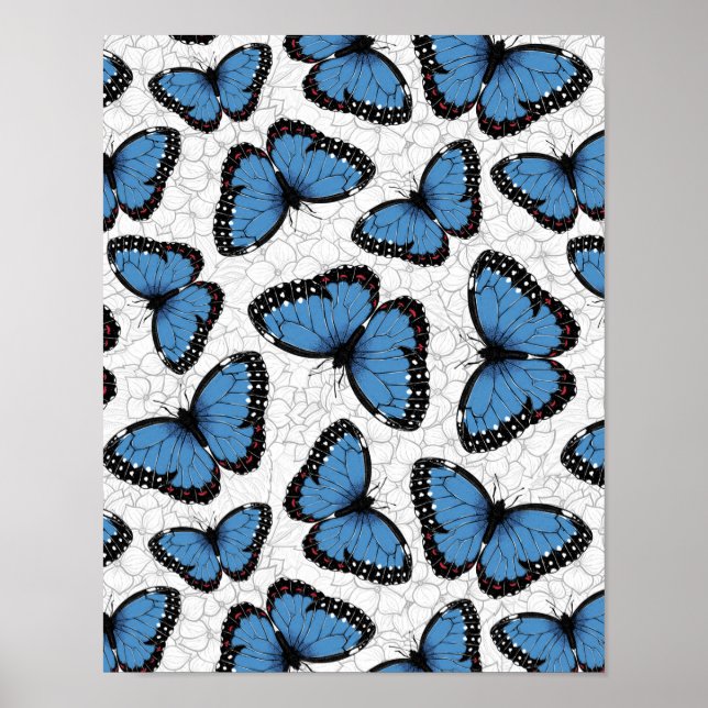 Morpho-Schmetterlinge Poster (Vorne)