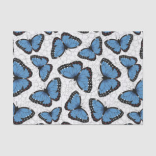Morpho-Schmetterlinge Seidenpapier