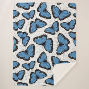 Morpho-Schmetterlinge Sherpadecke