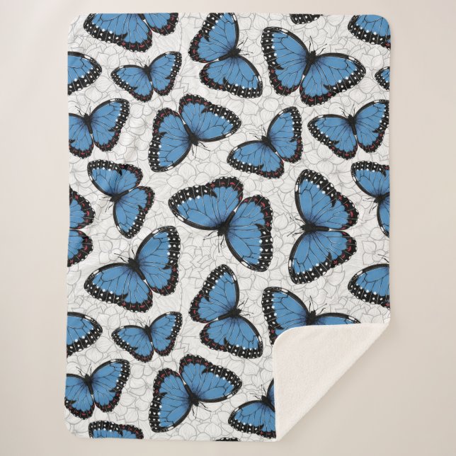 Morpho-Schmetterlinge Sherpadecke (Vorderseite)