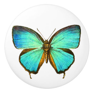 Morpho Schmetterlings-Insekten-Tier-Tier-Griff Keramikknauf