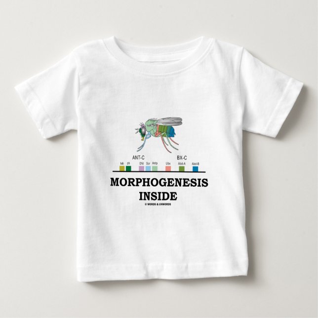 Morphogenese-Innere Baby T-shirt (Vorderseite)