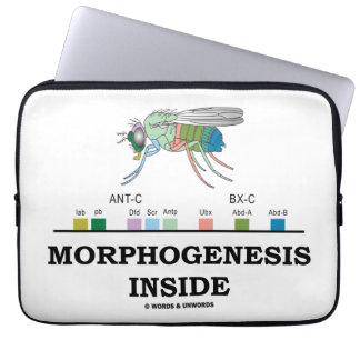Morphogenese-Innere (Taufliegehomeobox-Gene) Laptopschutzhülle