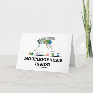 Morphogenese Inside (Fruchtfliege Drosophila-Gene) Karte