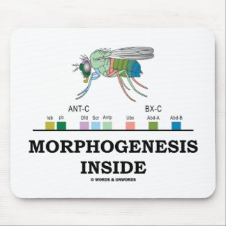 Morphogenese Inside (Fruchtfliege Drosophila-Gene) Mousepad