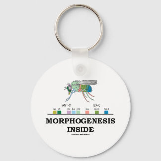 Morphogenese Inside (Fruchtfliege Drosophila-Gene) Schlüsselanhänger