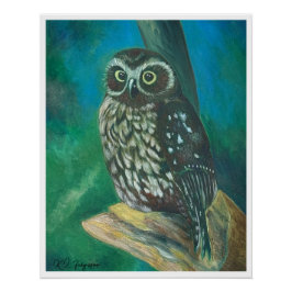 Morpora Owl Poster
