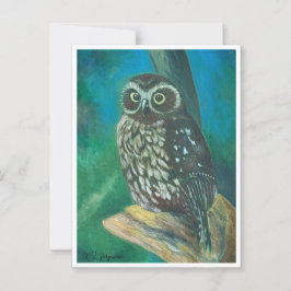 Morpore Owl Post Card Postkarte