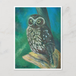 Morpore Owl Post Card Postkarte