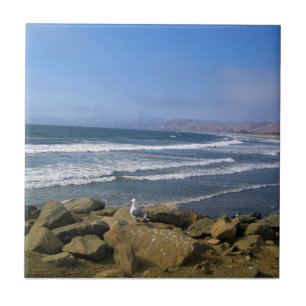 Morro Bay, Kalifornien Fliese