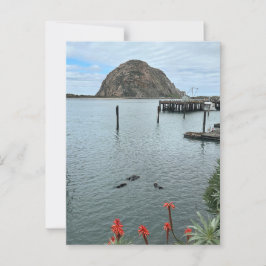 Morro Bay Rock mit Otters Postkarte