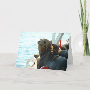 Morro Bucht-Siegel Karte