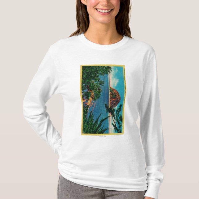 Morro Felsen in San Luis Obispo County T-Shirt (Vorderseite)