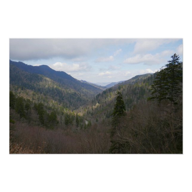 Morton Overlook at Great Smoky Mountains Poster (Vorderseite)