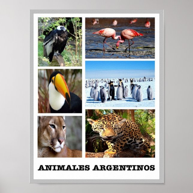 Mosaic Animales Argentinos - Poster (Vorne)