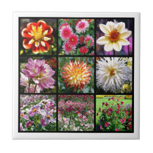 Mosaik Dahlia Blume Fliese