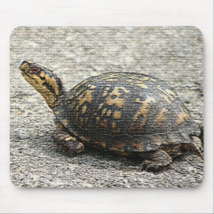 Mosaik-Schildkröte Mousepad