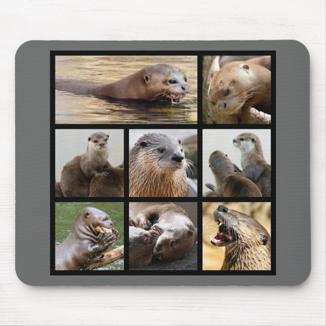 Mosaike Fotos von Ottern Mousepad (Vorne)
