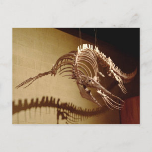 Mosasaur - "Sea Lizard" Postkarte